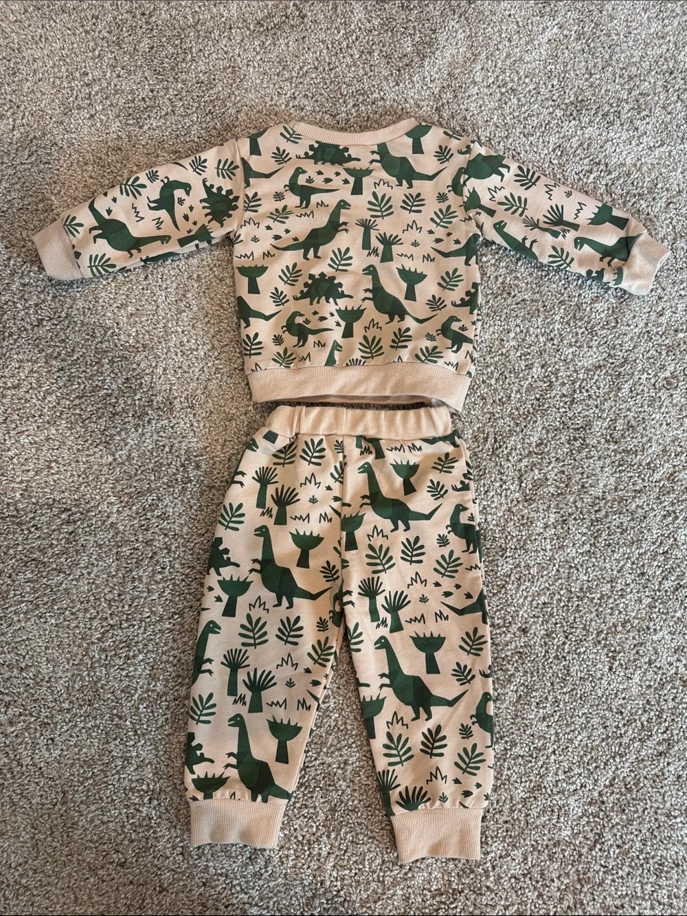 Amazon cozy two